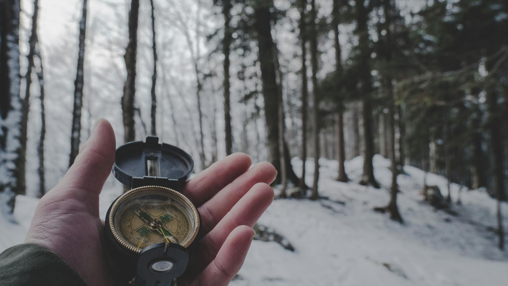 picture of a compass