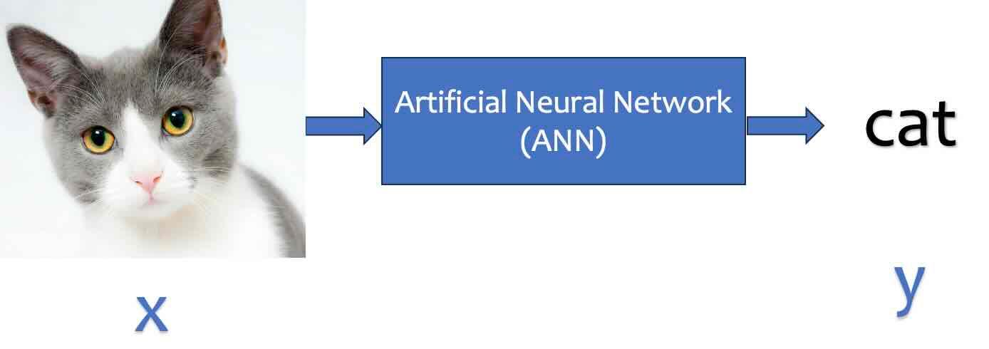 Image classification setup